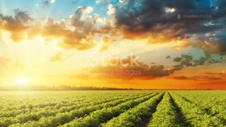 From Pit to Purpose: A 3-Minute Hope Reset