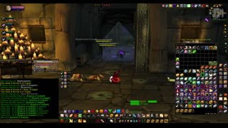 Turtle wow - Scholomance - Paladin POV - no commentary - level 60 mount quest completed