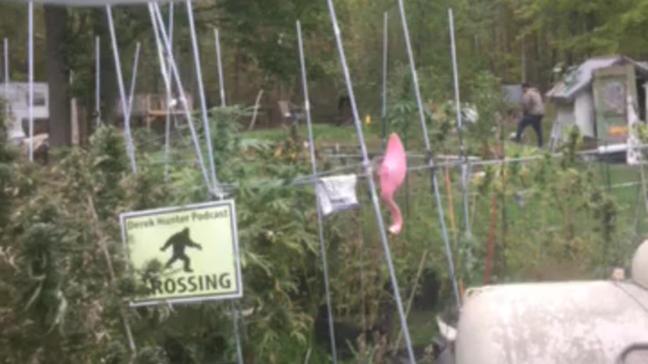 Textline 58619 WMAL 105.9 streaming worldwide red herring is vs Medicaid for minituche