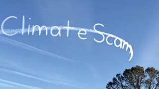 Rothschild BlackRock WEF Power.