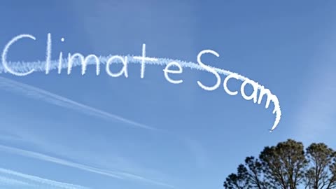 Rothschild BlackRock WEF Power.