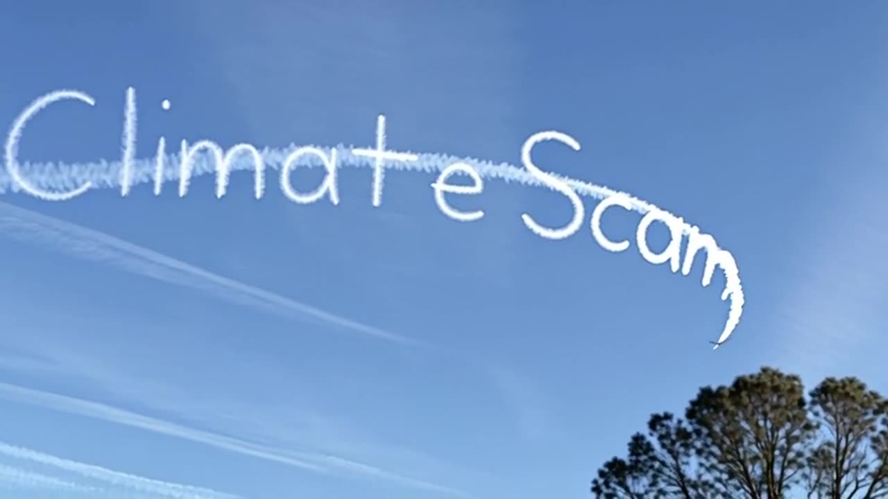 Rothschild BlackRock WEF Power.