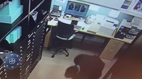 😵‍💫💥 Metal Defying Gravity! Watch as This Ball of Light Falls... | TheHauntingHour