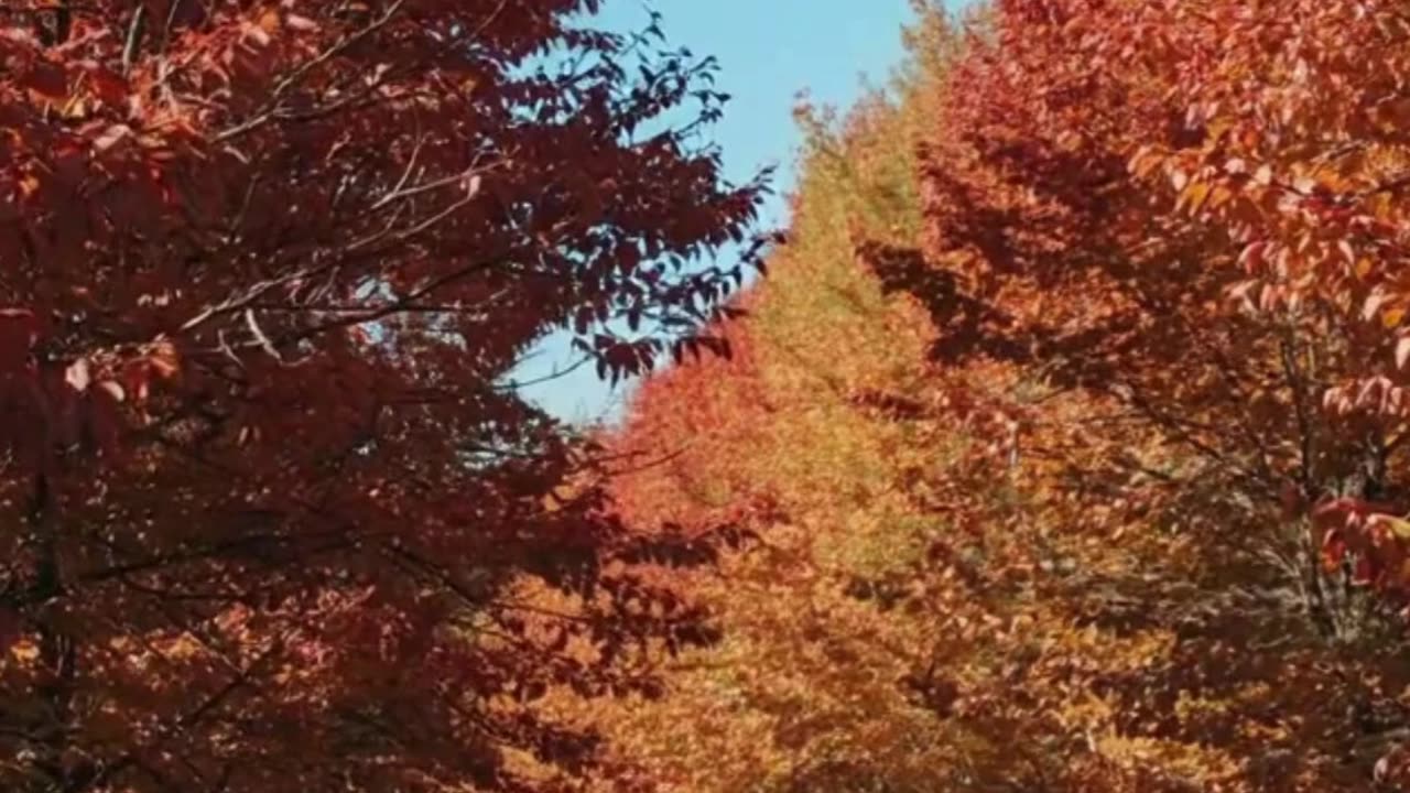 5 Tips for a Healthy Lifestyle to Boost Positive Thinking