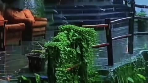 Rainy Day Resort Lounge.