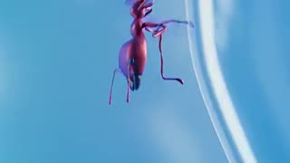 Shocking: How A Klein Bottle Works 🤔