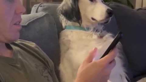 “We’ve talked about your screentime” 😂