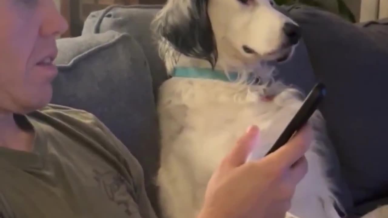 “We’ve talked about your screentime” 😂