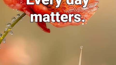 Every drop counts. Every day matters. #sleepmusicforbabies #healing #stress-relief #anxiety-relief