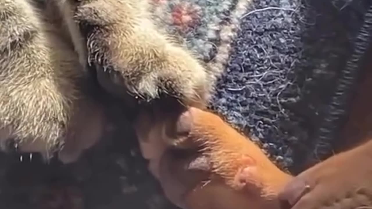 Best relationship 😍🥰❤️