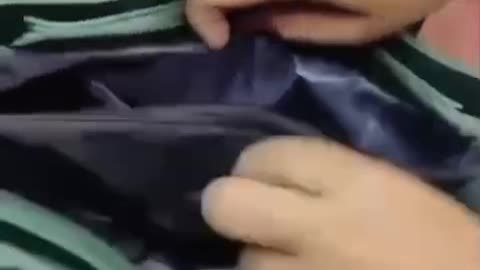 Emerald Green and Sapphire Blue Butterfly Jeweled Sandals.