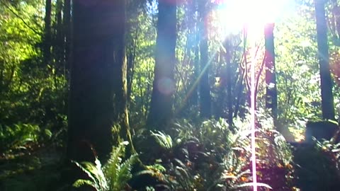 Cold weather camping 11/21-23/25 Video 7: