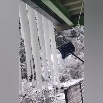 New Funny Viral Videos