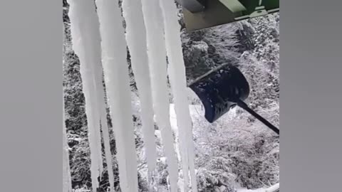 New Funny Viral Videos