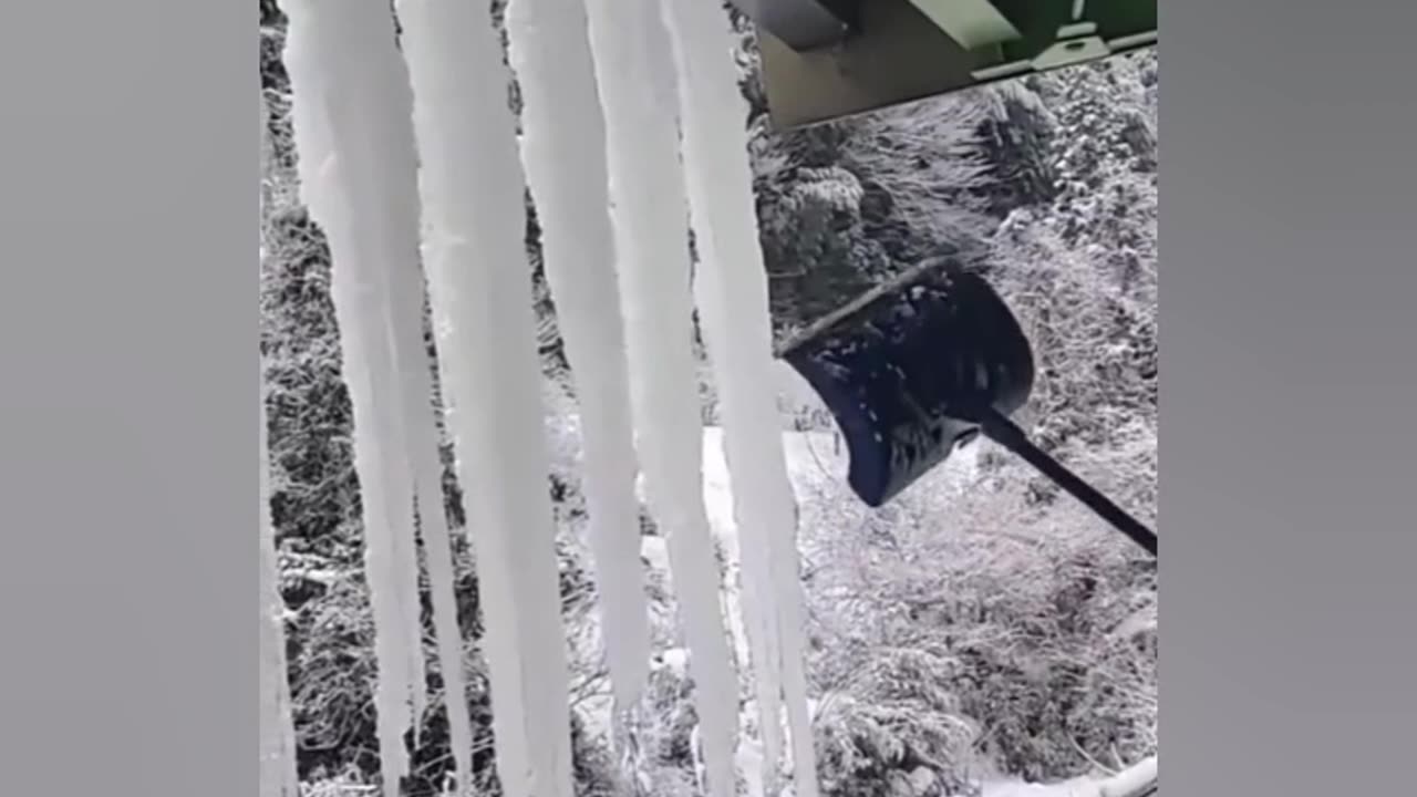 New Funny Viral Videos