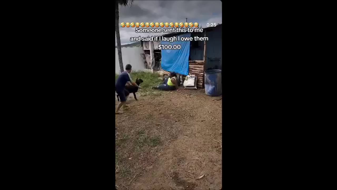 Racist Ram Attacks Obese Black Woman