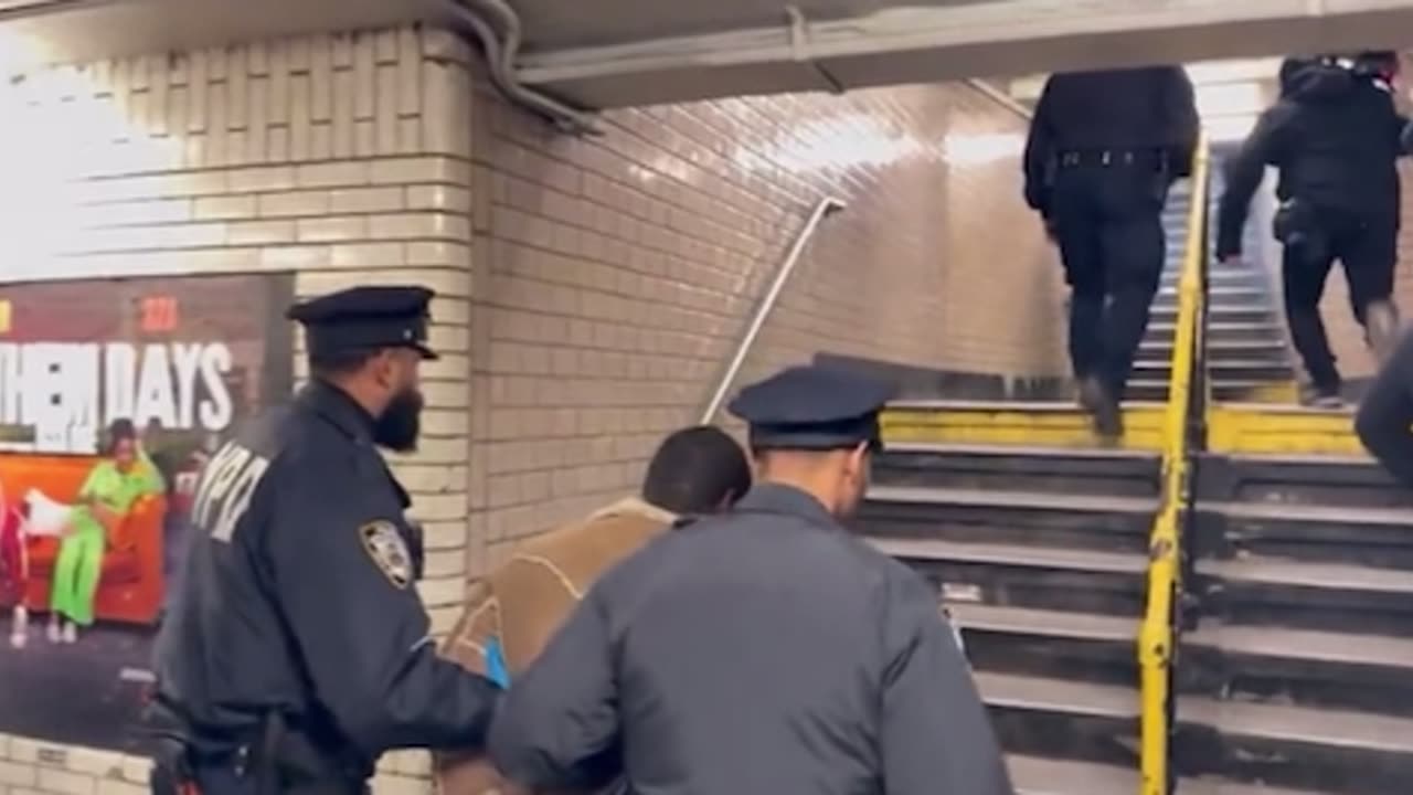 Man Arrested After Shoving Woman into Moving NYC Subway Train