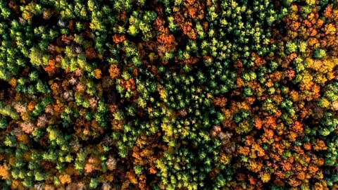 Classical Clouds Lofi Chill