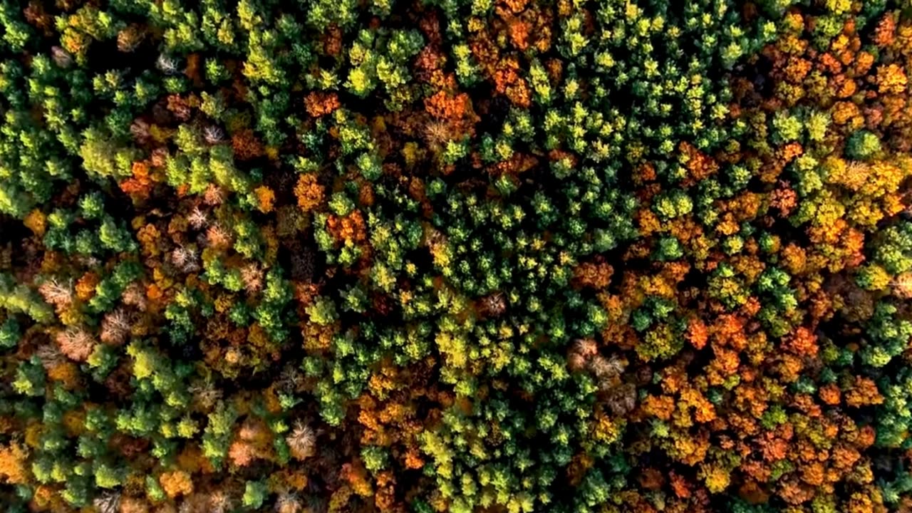 Classical Clouds Lofi Chill