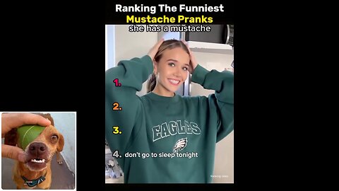 Funny videos compilation 37