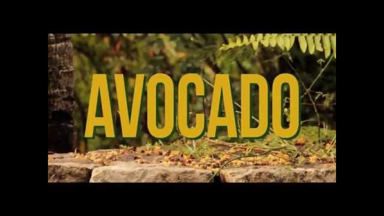 Jah9 – Avocado