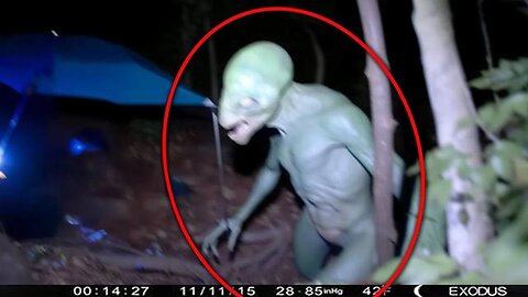 REAL CREATURES CAPTURED ON CAMERA IN THE MIDDLE OF NOWHERE