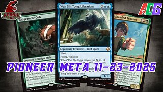 Watching The Pioneer Meta 11-17-25 to 11-23-25 | Magic the Gathering | MTG Metagame Analysis