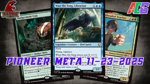 Watching The Pioneer Meta 11-17-25 to 11-23-25 | Magic the Gathering | MTG Metagame Analysis