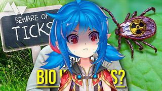 They are attacking us..