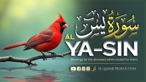 📖 Surah Yaseen | Best Quran Recitation for Inner Peace | Al Qamar Production