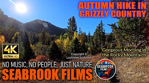 Autumn Hike in Grizzly Country: Gorgeous Morning in the Rocky Mountains
