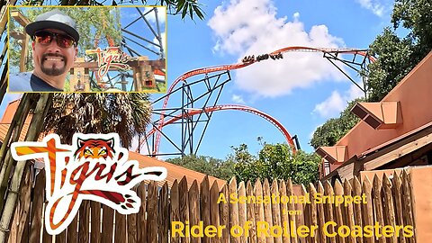 A Sensational Snippet from Rider of Roller Coasters: Tigris at Busch Gardens, Tampa [On & Off Ride]