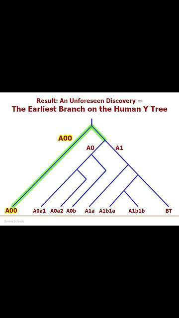 THE THIRD TEMPLE , VIDEO 10 OF 12 ON BIBLEGENETIC