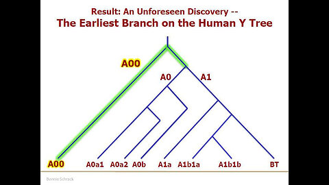 THE THIRD TEMPLE , VIDEO 10 OF 12 ON BIBLEGENETIC