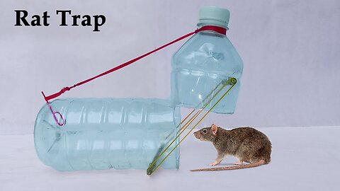 Make Easy Mouse/Rat Trap | How To Make Water Bottle Mouse/Rat Trap At Home PSN Experiment 2025