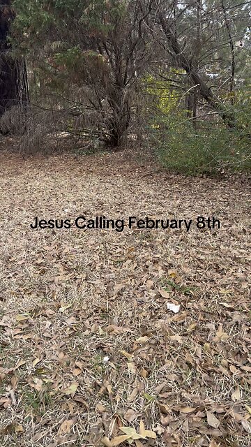 Jesus Calling February 8th!