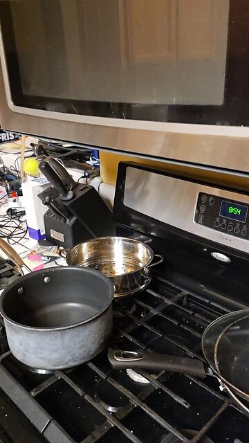 Finches might teach us a life lesson.