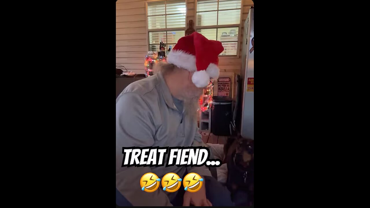 Doberman Treat Shenanigans: Vader Wants ALL the Snacks (Dec 3, 2025 Live Highlight)