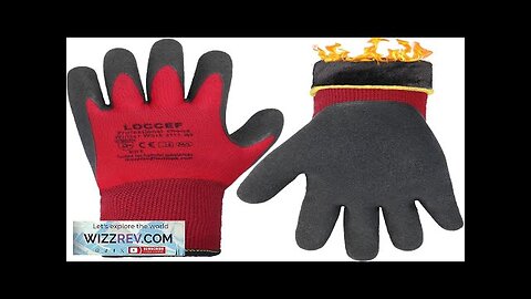 2 Pairs Winter Work Gloves for Men and Women Freezer Gloves Review