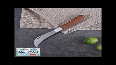 Folding Grafting Knife Grafting Tools Bonsai Pruning Knife Professional Garden Seedling Review