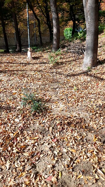 20251112. God is love.