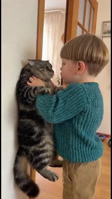 кот и ребенок