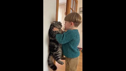 кот и ребенок
