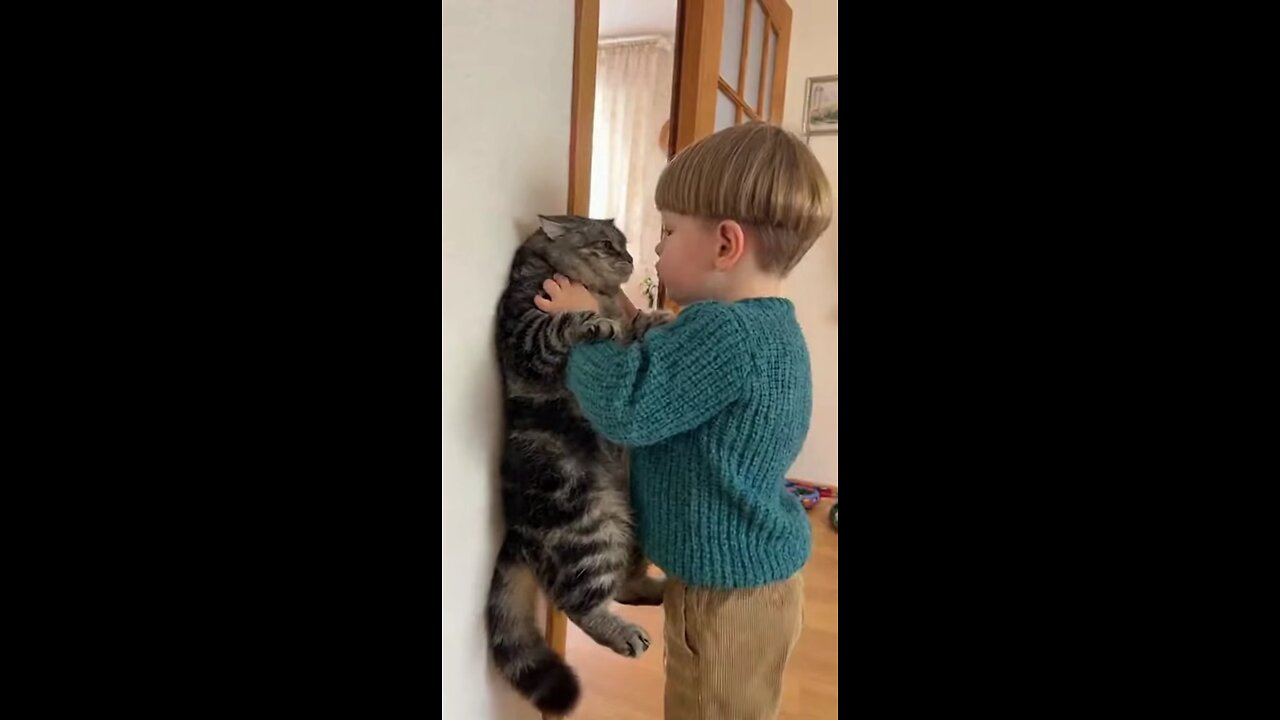 кот и ребенок