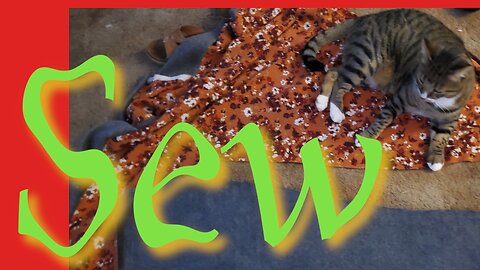 Sew Wip Wednesday Catch Up || Stitch & B*