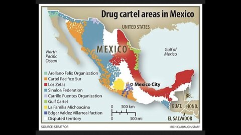 CARTELS & the WAR ON DRUGS - MSM (VICE) DOKU 2021