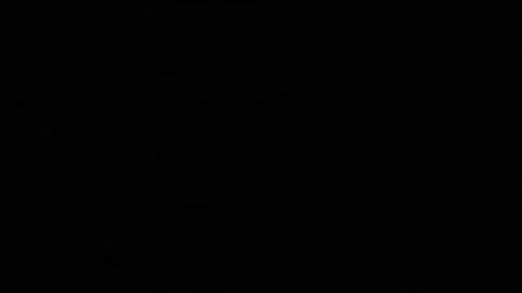 Night shoot, trooper training