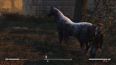 A horse with 8 legs!! (Fallout London)