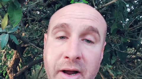 Wisdom of Bullfrog and Affiliate Marketing