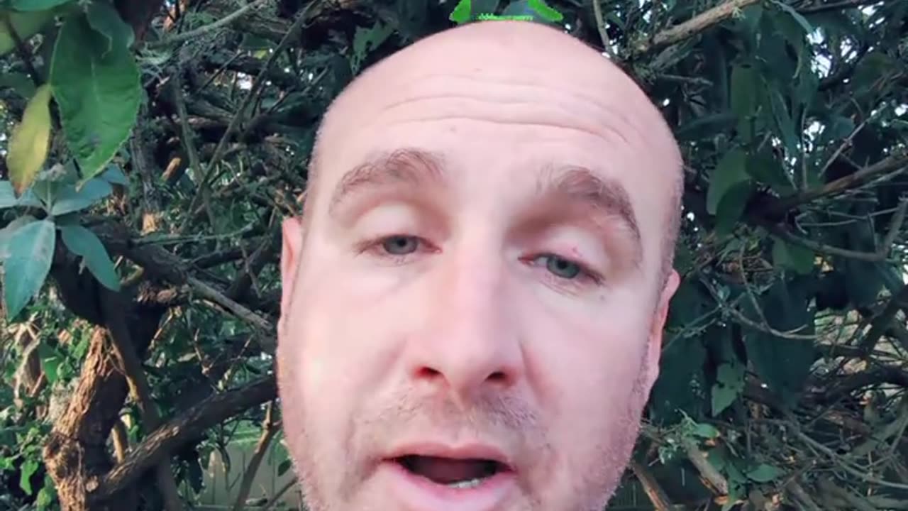 Wisdom of Bullfrog and Affiliate Marketing